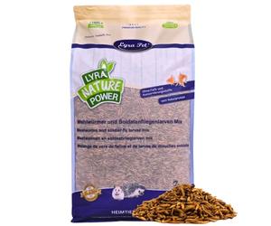 5 - 15 kg Lyra Pet® Mélange de vers de farine/larves de mouches soldats