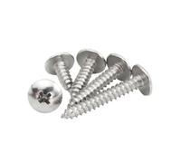 5-200 pièces M2-M6 acier inoxydable empreinte cruciforme tête bombée vis autotaraudeuses, M5x50mm(20 pièces)
