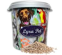 5-25 kg Lyra Pet® Sonnenblumenkerne geschält