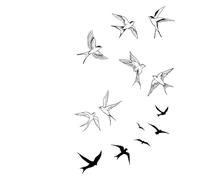 5 Autocollants De Tatouage D'Oiseau, Jus D'Herbes Imperméable Et Durable, Non Réfléchissant Et Ne Peut Pas Être Lavé