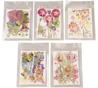 5 Bags Dried Flowers,Pressed Flowers,Dried Pressed Flowers,Pressed Flowers For Crafts,Dried Flowers For Resin,Real Flowers And Dried Daisy Leaves (Type 2)