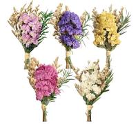 5 Bouquets de Mini-Fleurs séchées : Fleurs séchées et pressées Multicolores (Myosotis) pour Petits vases