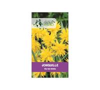 5 Bulbes de Jonquille 'Rip van Winkle' - Fleurs Étoilées et Dépaysantes pour Votre Jardin