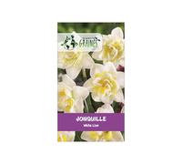 5 Bulbes de jonquille 'White Lion' - Magnifiques fleurs blanches et cœur jaune, idéales pour massifs et bouquets de printemps.