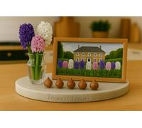 5 Bulbes Jacinthe - Hyacinthus - Mélange de couleurs - Lot de 5 bulbes calibre 14/15 - Fleur Jardin - 918