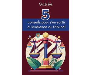 5 conseils pour s'en sortir à l'audience au tribunal: Petit guide du justiciable errant dans la salle des pas perdus