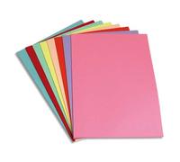5 Etoiles 903385 Paquet de 250 sous-chemises 22 x 31 cm Couleurs Assortis