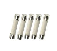 5 fusibles céramiques 3,15 A 250 V (temporisés) 5 x 20 mm