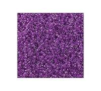 5 g Miyuki Delica Rocailles Seed Beads, 11/0 (1.6 mm) Inside Dyed Lilac Dark AB (Miyuki Delica Rocailles Perles de graines Rocailles Lumière ab)