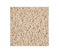 5 g Miyuki Delica Rocailles Seed Beads, 11/0 (1.6 mm) Opaque White Bisque (Miyuki Delica Rocailles Perles de graines Rocailles Beige blanc)