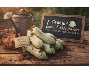 5 graines à semer - Le Grenier d'Abondance - COURGETTE Grisette de Provence - Curcubita Pepo