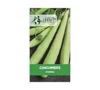 5 graines concombre melon armenien serpent - yard long -seeds- cucumber