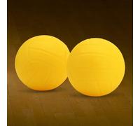 (5 Inch 2pcs) - Ballons de remplacement avec pompe à air, mini-volleyball gonflable en pvc pour la pelouse, le volleyball de plage,