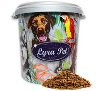 Lyra Pet® 5 kg de vers de Farine Mélange de Larves de Mouches Soldats séchées | Riche en protéines | Rapport Calcium/phosphore idéal | Nourriture Naturelle pour Oiseaux, rongeurs, Poissons & Reptiles