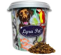 5 kg de mélange d'insectes Lyra Pet® Protein Boost - avec vers de farine, crevettes & sauterelles dans un tonneau de 30 L