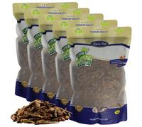 5 kg Lyra Pet® Sauterelles séchées