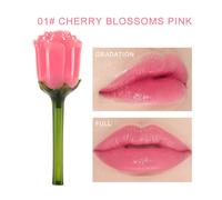 5 Ml Femmes Maquillage 5 Couleurs Rose Brillant À Lèvres Hydratant Rose Miroir 3d Lèvres Glaçure Maquillage Facile À Porter Durable Brillant À Lèvres