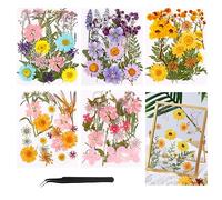 5 Paquets de Fleurs Séchées Naturelles, 96 Pcs Fleurs Sechees et Feuilles Séchées Naturelles, Bricolage Fleurs Pressées Séchées Naturelles Decoration pour Carte Scrapbook Art Décors Artisanat