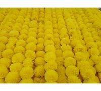 DECORATION CRAFT Guirlande de Fleurs de Calendula artificielles Jaunes de 1,5 m pour fêtes, Mariages, Diwali Mehndi Pooja, Festival et décoration Traditionnelle Indienne, décoration d'intérieur,