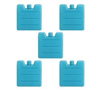 5 pcs Boîte de congélation Pique-nique Glace Brique Pack,Réutilisable Glacière Sac Insert Compact Bloc de Stockage Froid Compact, Pack Refroidisseur Thermique, Support Refroidisseur Congelé