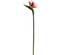 5 Pcs Fleurs Artificielles Oiseau De Paradis Faux Plante Soie Strelitzia Reginae Décor À La Maison, 21,7 Pouces Simulation Plante En Plastique Intérieur Extérieur Guirlande Pour La Maison Garden Party