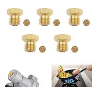 5 Pcs Gicleur Gaz Butane Universels Gicleur Gaz de Ville Gicleur Gaz Butane pour Plaque de Cuisson au Gaz Naturel GPL Injecteur Gaz Butane (0.5/0.7/0.7/0.9/0.95 mm)