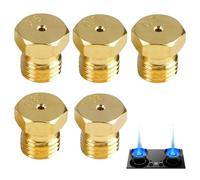 5 Pcs Gicleurs Gaz Butane, Injecteur de Gaz Bouteille Kit de Conversion