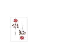 5 pcs Tatouage Ephemere Rose Tatouage Temporaire Rouge Main Dos Tatouage Petit Motif Fleur Étanche Femelle Durable Oreille Simulation Tatouage