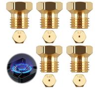 5 Pièces Gicleurs Gaz Butane Universels pour Cuisinière et Plaque de Cuisson, Kit de Conversion Gicleur Gaz Bouteille Butane our Gazinière et Brûleur avec Injecteurs de 0,5mm/0,7mm/0,87mm/1,02mm