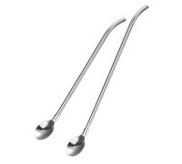 5 Pièces Pailles Cuillère en Acier Inoxydable, Lot de Set, Argenté
