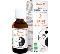 5 Saisons Elixir Énergétique Bio N°5 Yang de la Terre 50 ml