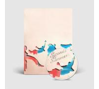 5 Seconds of Summer 5SOS5 (CD) Deluxe Album Digipak