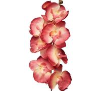5 Stück Künstliche Gefühlsechte Orchidee,Kunstblumen Phalaenopsis-Blumen,68 cm, Künstliche Orchideenblumen Kunstpflanze,mit 8 Cracktigen Blüten,für Zuhause Büro Hochzeit Décoration,Hellrot