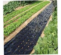 5 Trous Film de paillis en Plastique pour Le Film de légumes agricoles Plante en Plastique perforé PE pour Jardin pwech Membrane Intens Ely 3x33 ft, barrière Mauvaise Herbe Jardin