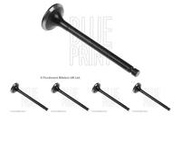 5 x Soupape d'échappement BLUE PRINT pour Bouchon de bloc-moteurT CABRIO, I