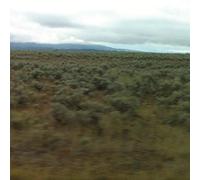 50,000,000 Elvis Fans Can't Be Wrong