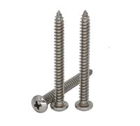 50/100 pièces M2 M2 * 7 M2x7 M2 * 8 M2x8 M2 * 10 M2x10 304 316 Acier Inoxydable Ss DIN7981 Phillips Croix Encastré Rond Pan Head Vis Autotaraudeuse(100Pcs 304SS M2x10)