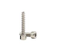 50/100 vis autotaraudeuses à tête hexagonale creuse plaquée nickel 304, M2, .6, M3(M2x6mm(100Pcs))