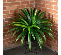 50-65 cm Grande fleur de magnolia artificielle, herbe de dragon tropicale, fausses feuilles d'orchidée, feuilles d'épée vertes, convient pour la maison, le bureau, le jardin, la décoration de fête, sa