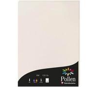 50 Feuilles A4 Pollen - Gris perlé - 120g Gris G