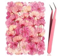 50 Fleurs de Cerisier Sakura Séchées et Pressées, 4 Variétés Roses Tons Mixte, 100% Naturelles pour Résine DIY, Savon, Bougies, Scrapbooking et Décoration Coques Téléphone
