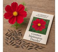50 graines à semer - Le Grenier d'Abondance - COSMOS DAZZLER - Bipinnatus Dazzler