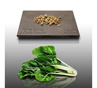 50 graines à semer - Le Grenier d'Abondance - POIREE Blonde - Beta vulgaris