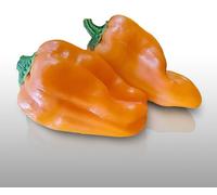 50 Graines À Semer - Le Grenier D'abondance - Poivron Petit Marseillais - Capsicum Annuum