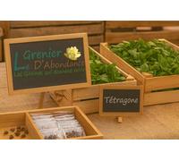 50 graines à semer - Le Grenier d'Abondance - TETRAGONE - Tetragonia tetragonioides