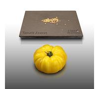 50 graines à semer - Le Grenier d'Abondance - TOMATE Ananas - Gout Incomparable