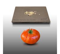 50 Graines À Semer - Le Grenier D'abondance - Tomate Merveille Des Marchés - Beaux Fruits Résistants