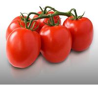 50 graines à semer - Le Grenier d'Abondance - TOMATE Roma VF - Résistante aux maladies