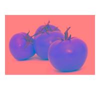 50 Graines À Semer - Le Grenier D'abondance -Tomate Saint Pierre - Solanum Lycopersicum