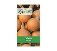 50 graines d oignon ailsa craig - saveur douce - gros jaune